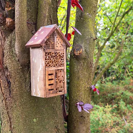 The Oasis Charming Family With Garden And Private Parking Vakantiehuis Zandvoort