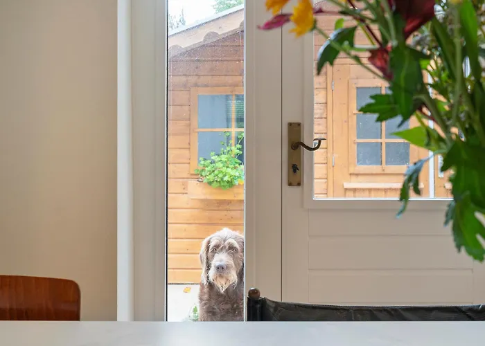 The Oasis Charming Family With Garden And Private Parking