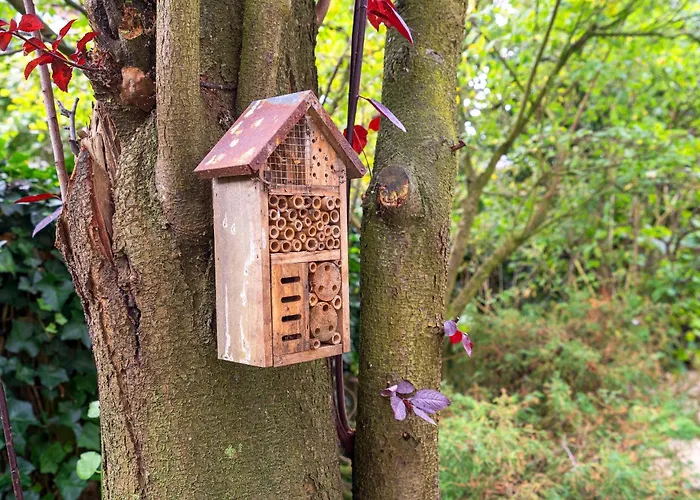 The Oasis Charming Family With Garden And Private Parking 度假居 赞德沃特